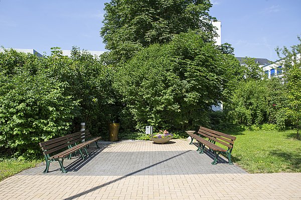 Außenanlage des Nellinistifts mit Sitzbänken auf barrierefreiem, gepflasterten Weg, umgeben von Rasen, Büschen und Bäumen